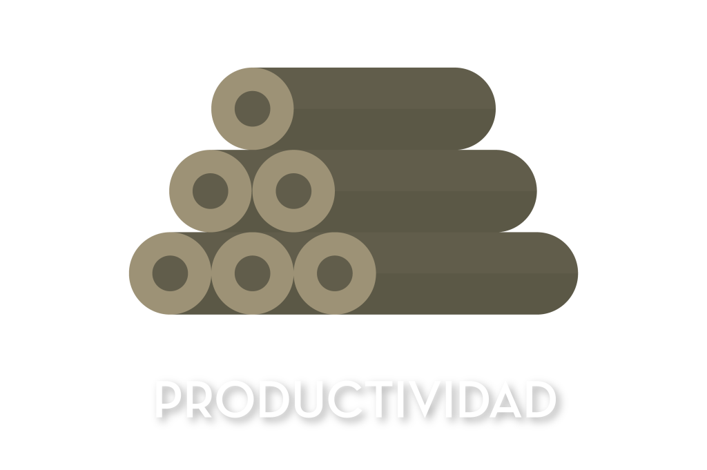 Productividad, gestión, Consulting, Uruguay