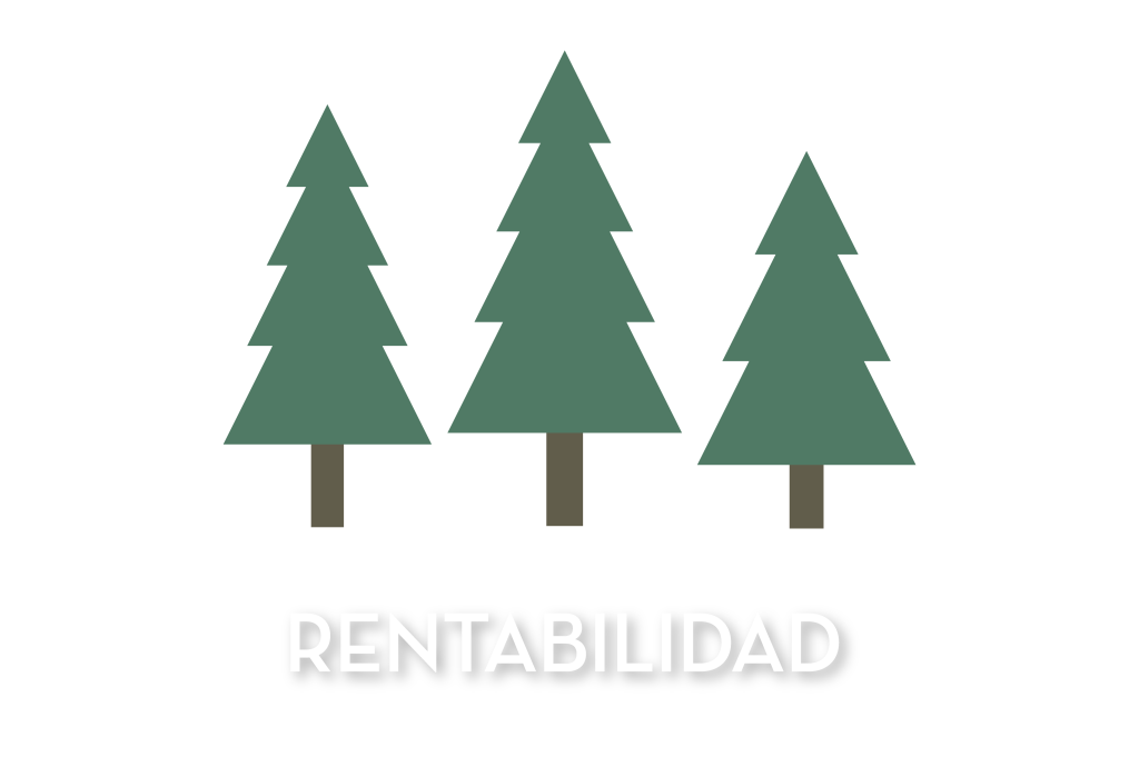 Rentabilidad, gestión, Uruguay